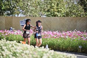 BIB: 
                            <button type="button" onclick="openModal(27804192)" class="btn btn-primary btn-sm float-right btn-popup" data-toggle="modal" data-target=".modal-high-quality">
                        <i class="fas fa-shopping-cart"></i> Add to Cart
                    </button>
                                            <button type="button" onclick="isThisMe(27804192, true)" class="btn btn-success btn-sm float-right btn-popup btn-isme hidden" data-toggle="tooltip" data-placement="bottom" title="นี่คือรูปของคุณใช่ไหม คลิกที่นี่เพื่อเอาเข้าอัลบั้ม">
                        <i class="fas fa-plus"></i> Add to album
                    </button>
                    <button type="button" onclick="isThisMe(27804192, false)" class="btn btn-warning btn-sm float-right btn-popup btn-isnotme hidden">
                        <i class="fas fa-ban"></i> Remove from album
                    </button>